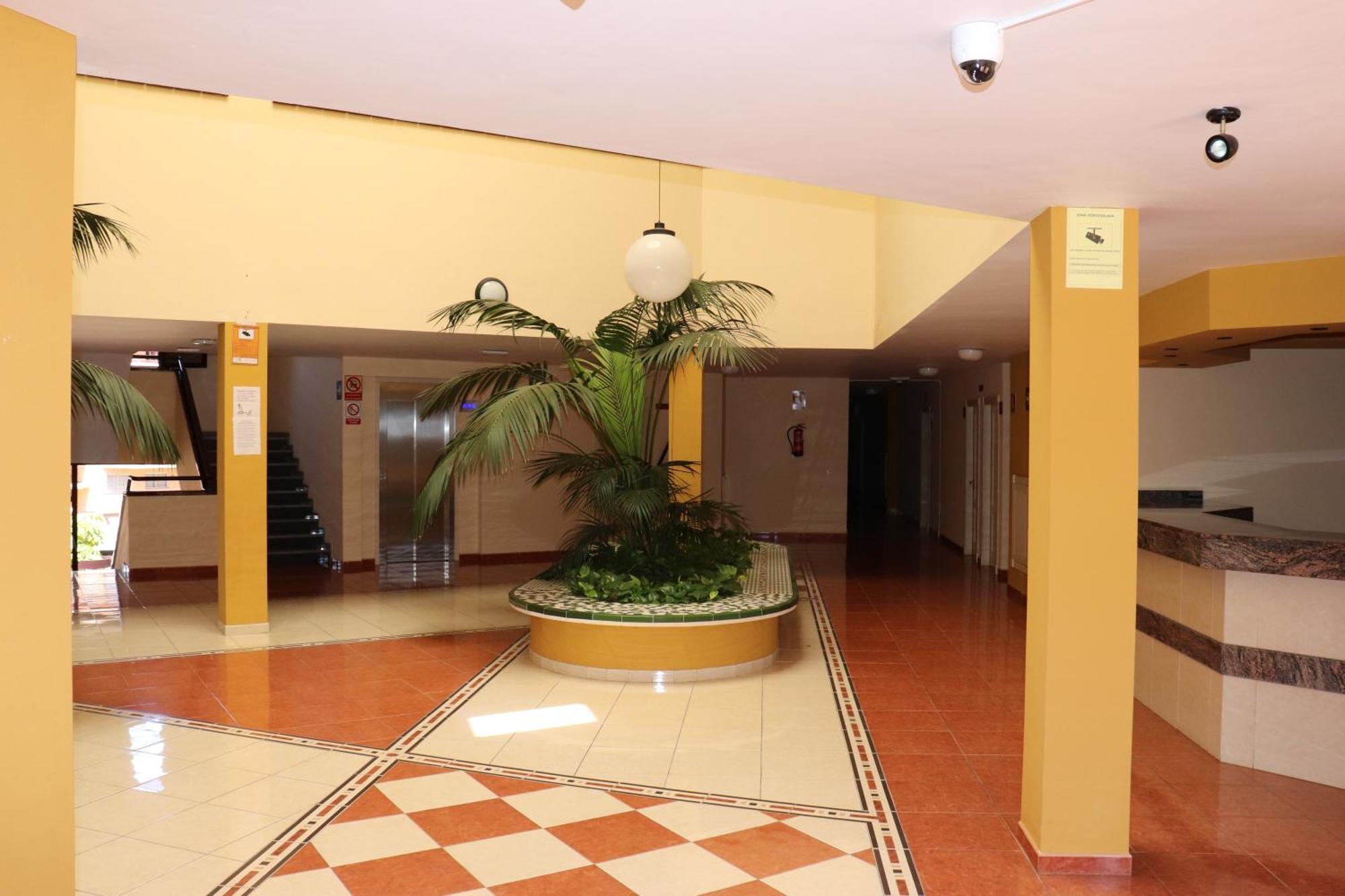 Estupendo Apartamento Puerto de Santiago (Tenerife) Exterior foto